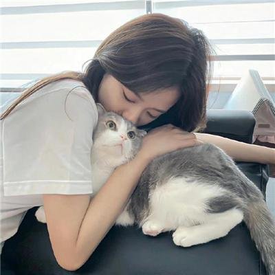 完美普通家庭 在线观看
